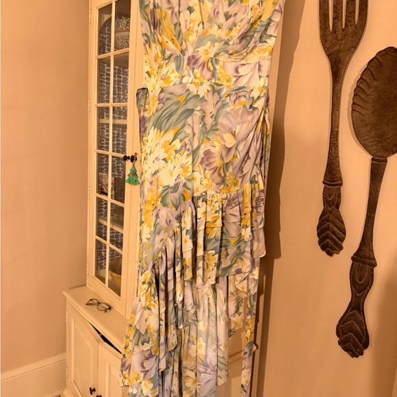 Bronx and Banco Tropical Floral Asymmetrical Ruffle Dress | Size M - Picture 8 of 11